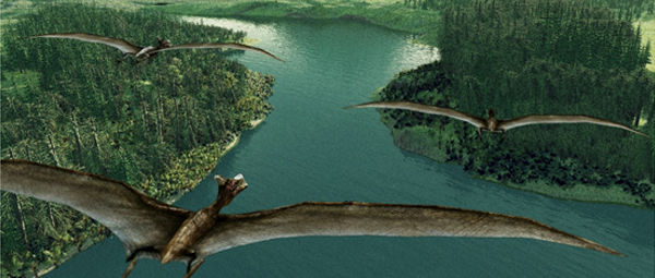 “热河生物群”的写真——白垩纪公园